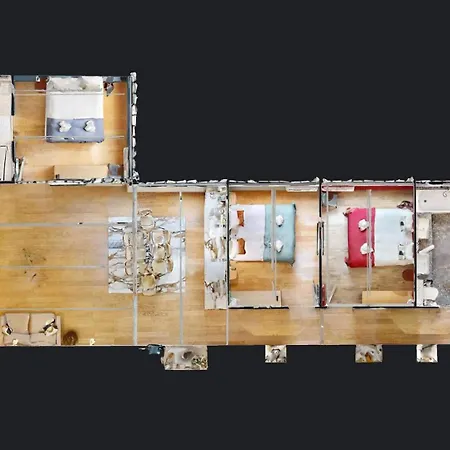 178 Cesar - Superb In *